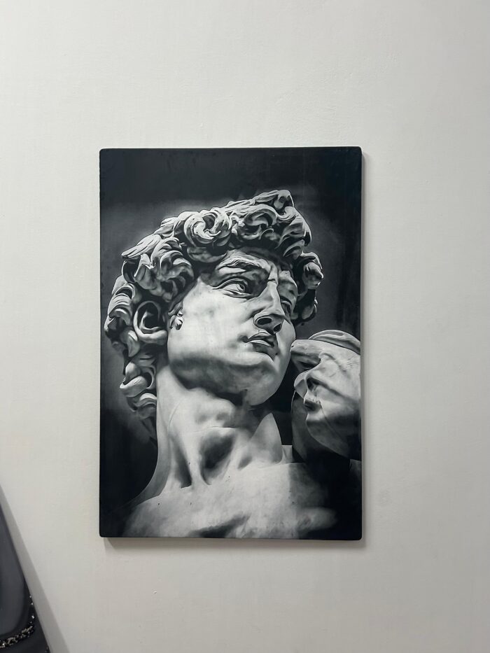 David: guardian of art - Image 2